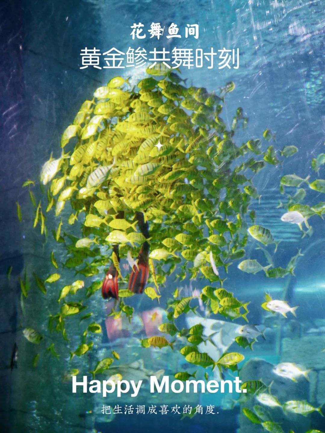 开启非凡住宿万豪旅享家,万豪旅享家万物皆可串