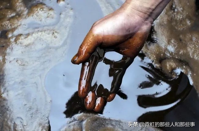 日本地沟油是从哪一年开始的,日本地沟油发源地