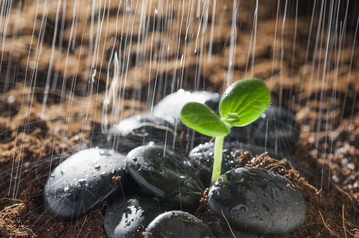 绵阳教育三驾马车,绵阳公办普通高中学校排名