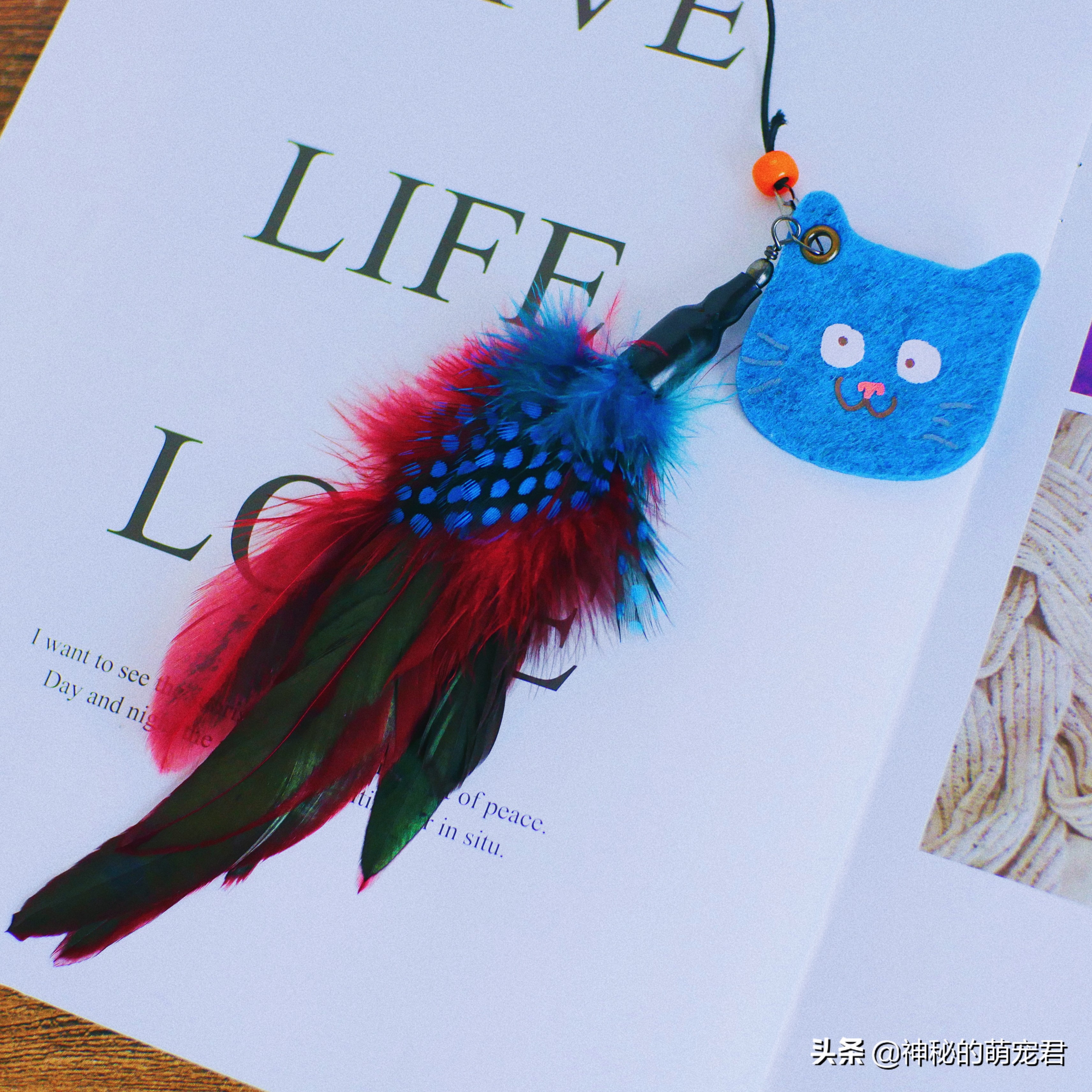 什么逗猫棒猫咪会玩,怎么做猫咪玩的逗猫棒