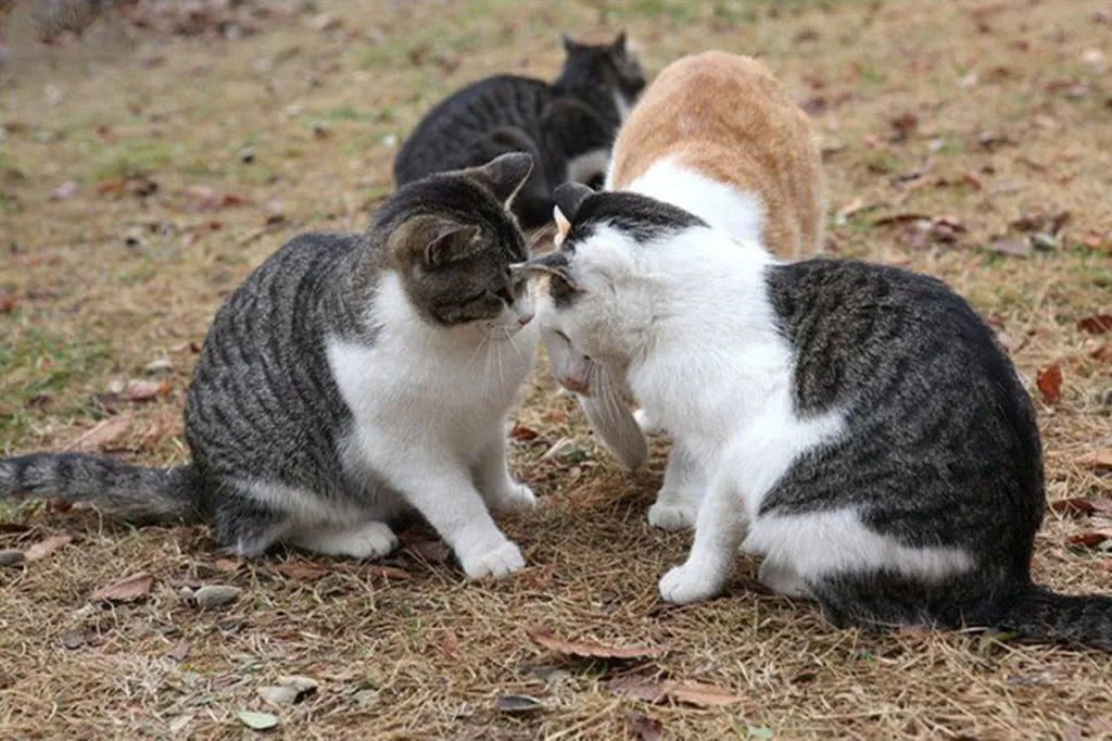 轻松祛斑根本不可能！找准原因长期坚持，才能将它逐步淡化