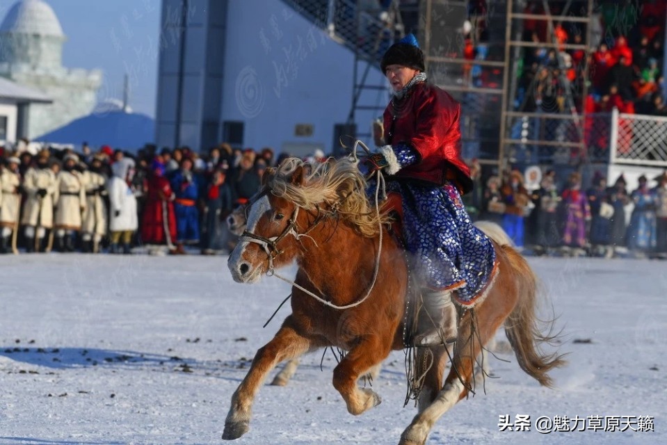 冬天的呼伦贝尔是这样的,今年呼伦贝尔的旅游