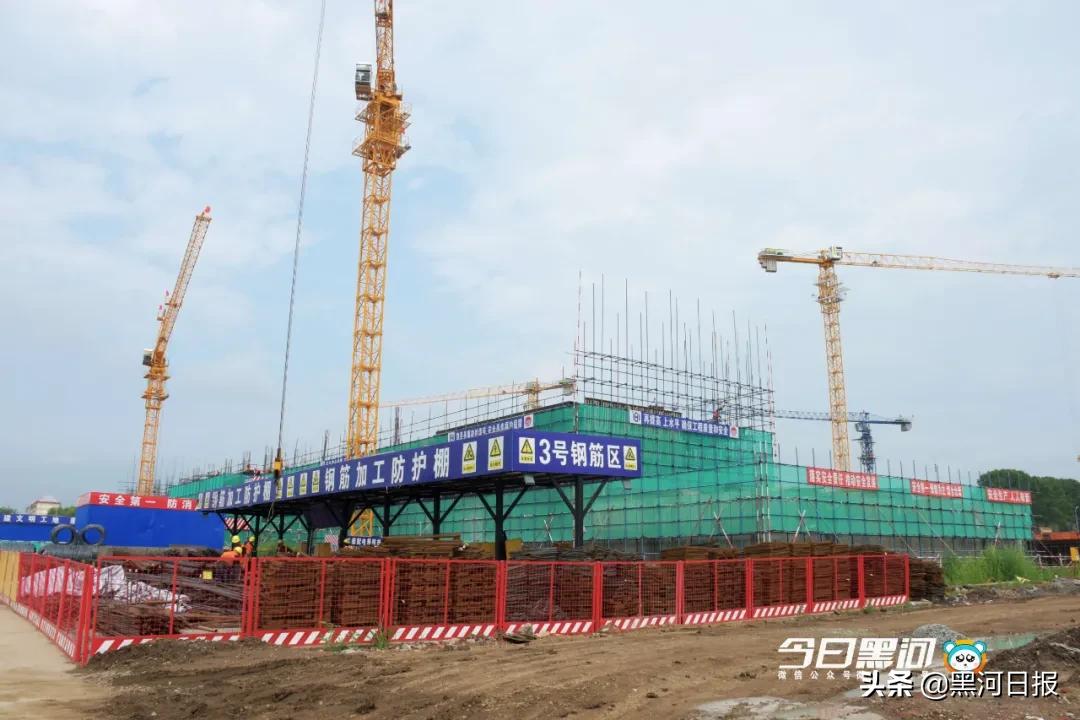 黑河市卫生健康中心公示,黑河卫生健康