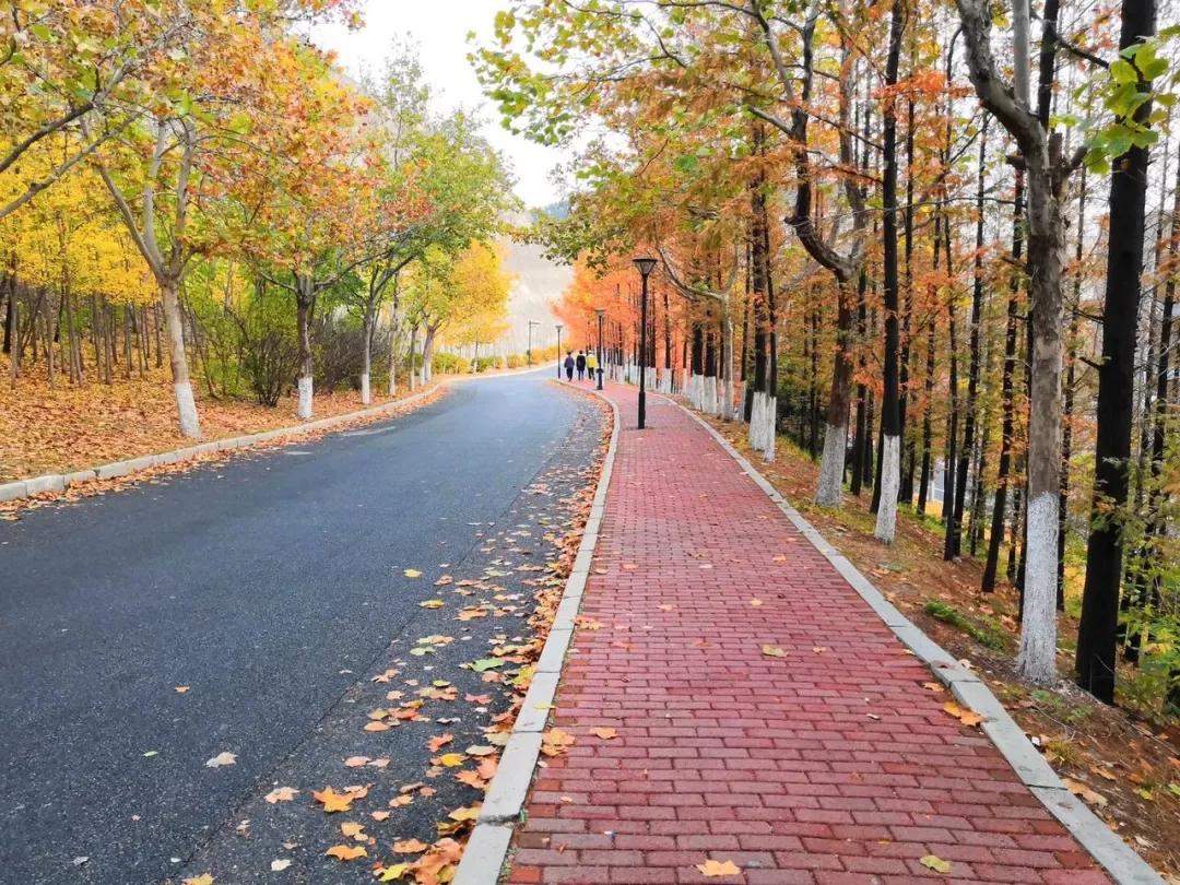 辽宁省民办大学（二）大连东软信息学院