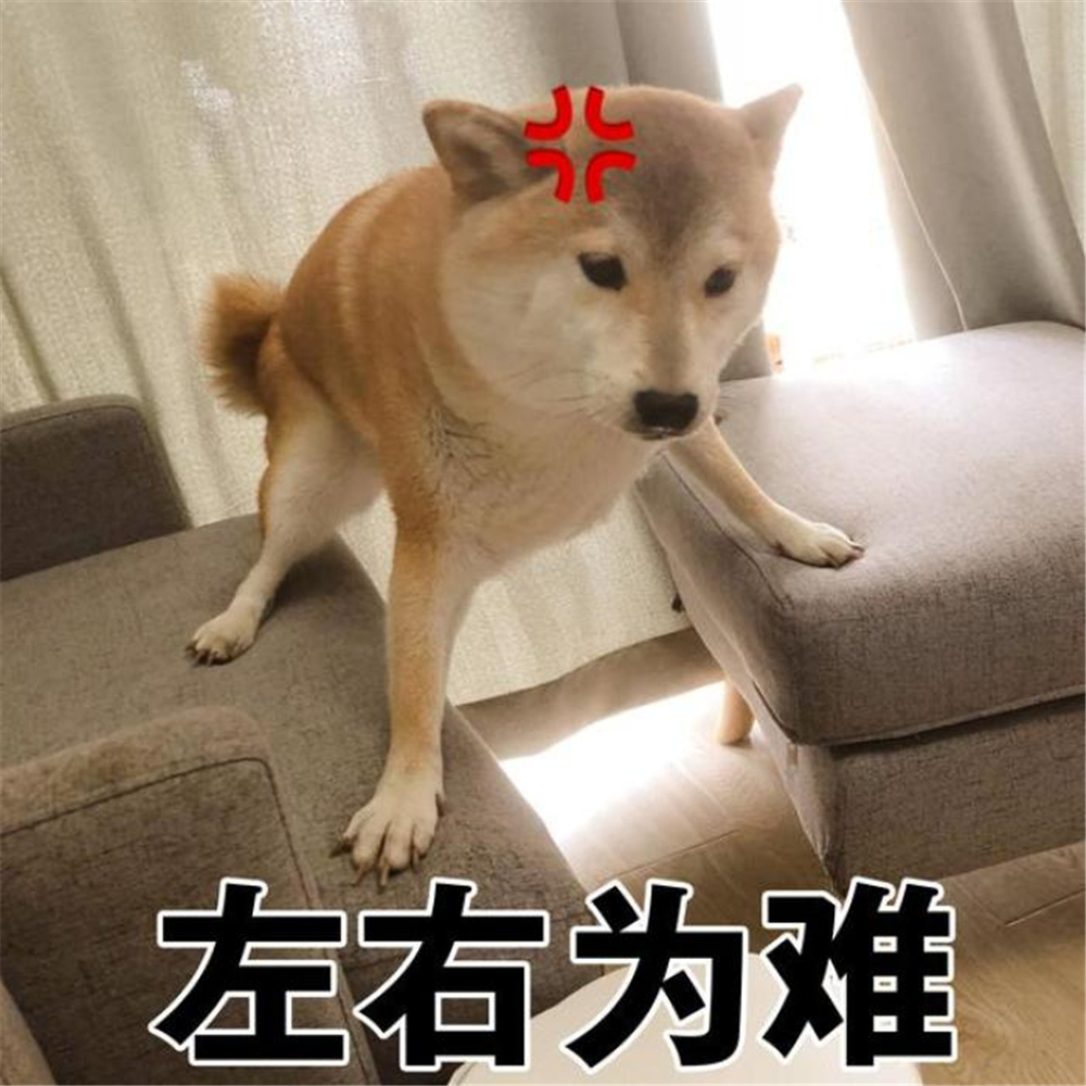 辟谣羊奶比鲜牛奶好,羊奶粉谣言