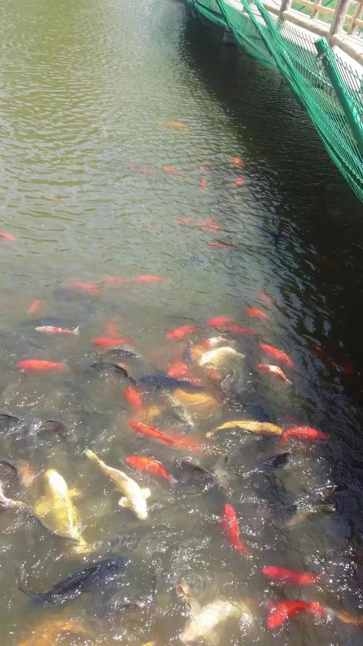 吉林市第一中学吉林市排名,吉林市省重点高中