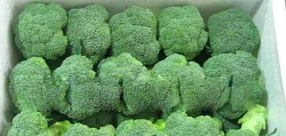 西兰花上面有什么脏东西,西兰花的脏东西怎么清洗