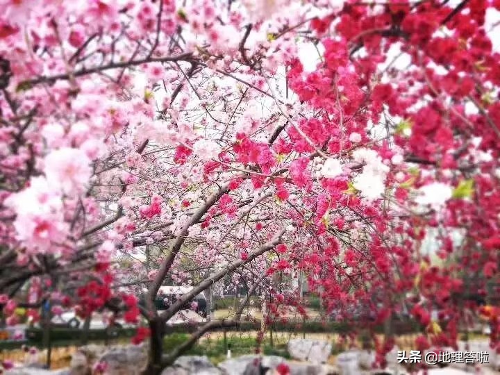 济南舜耕历山遗址,济南市市中区舜耕路舜耕山庄