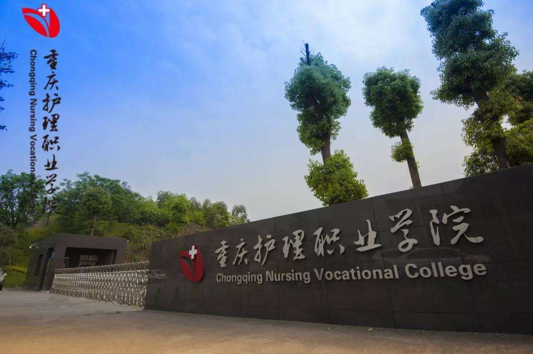 重庆有哪些医学院校,重庆有几所医学院校