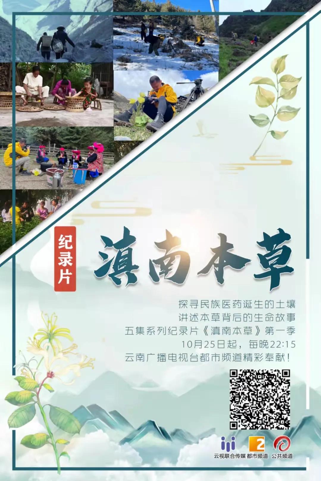 边睡觉边治疗、深山里的龙血树、形态各异的石斛，在这种独特的傣医药文化里还有更多的秘密