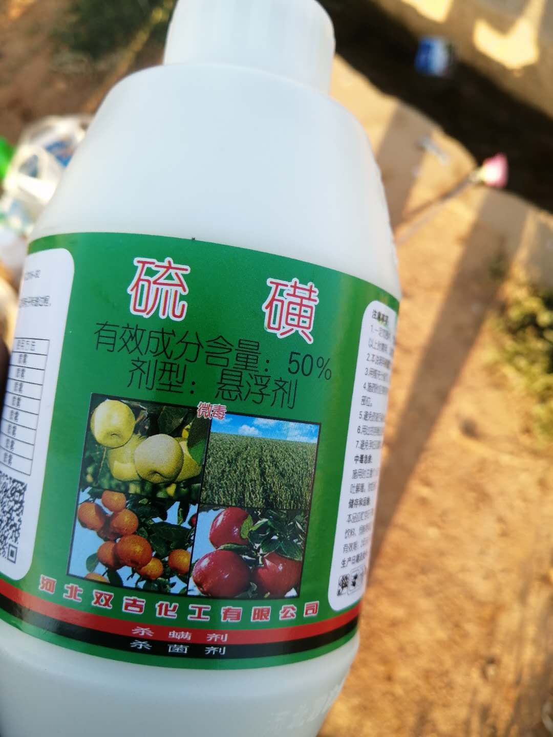 满天星烂苗是怎么回事,满天星白斑病