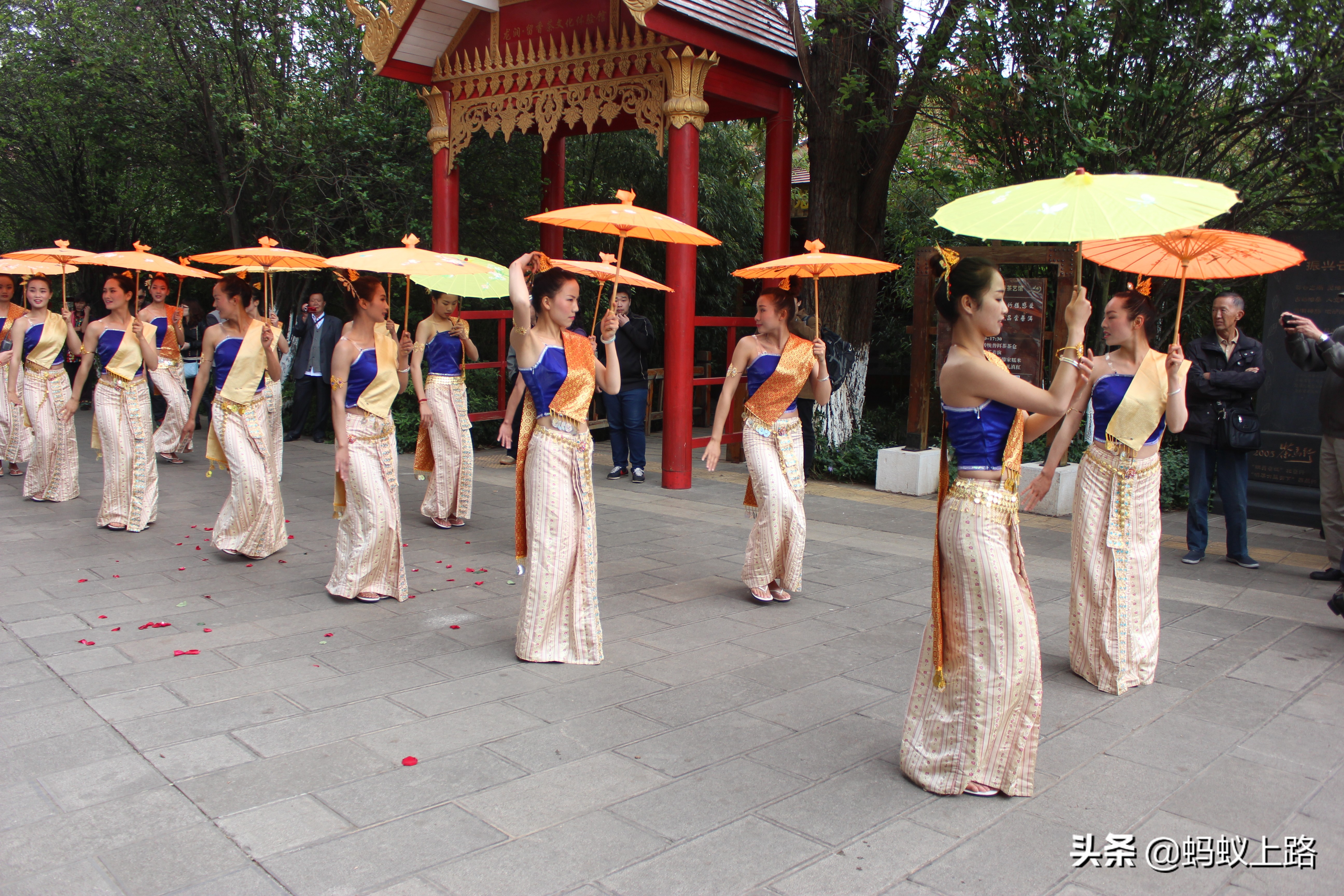 回顾傣族春节盛宴泼水节,云南省傣族泼水节4月几日开始