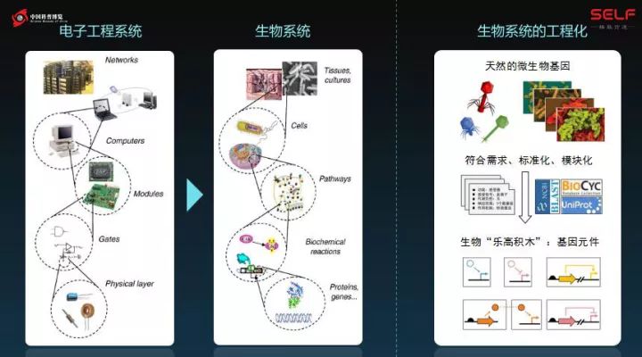 塑料降解微生物的发展,塑料可以被微生物降解吗