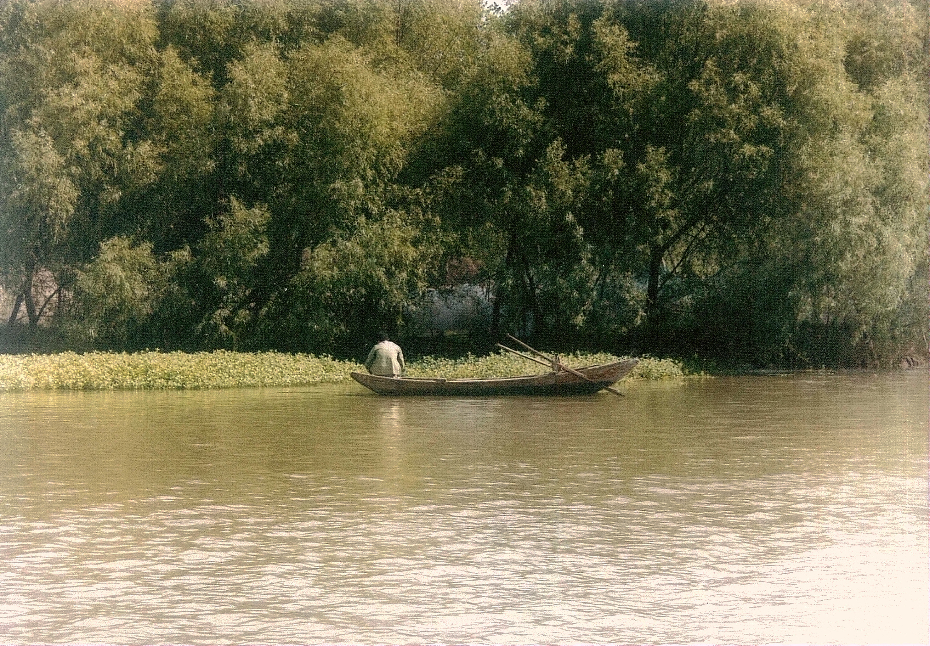 谷建华说古运河之杭州趣事,谷建华简介