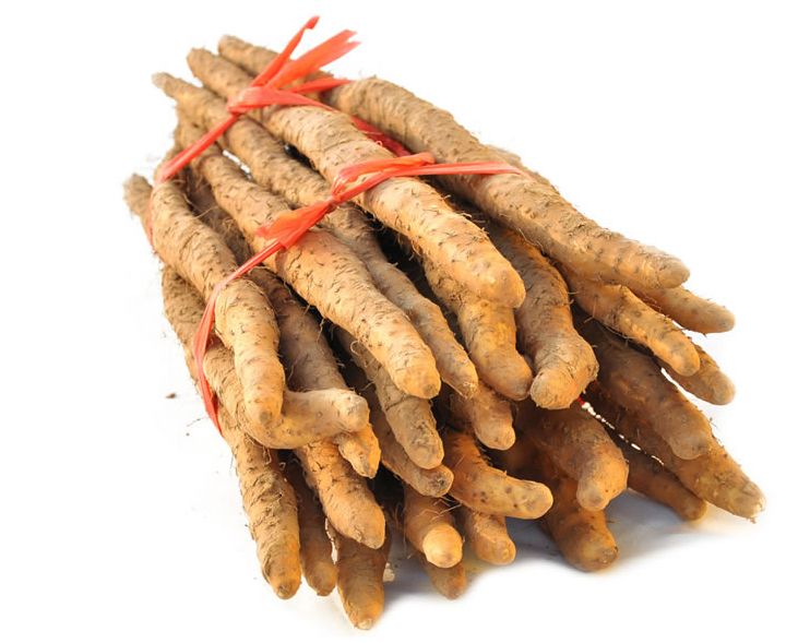 垆土铁棍山药乃山药之王,垆土山药和铁棍山药有什么区别