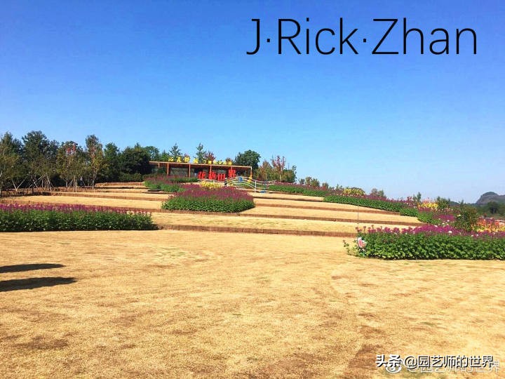 适合北方庭院种植的低矮草坪,家庭庭院怎样混搭种植草坪和蔬菜