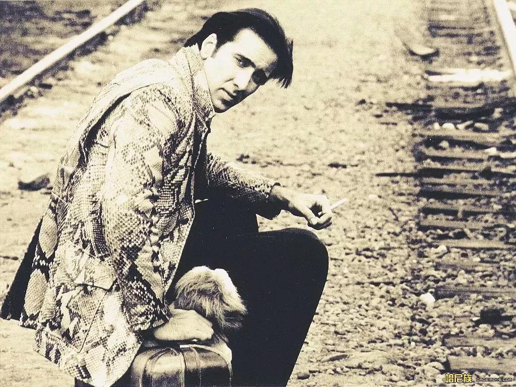 尼古拉斯凯奇演的什么魔法师,尼古拉斯凯奇是什么才子