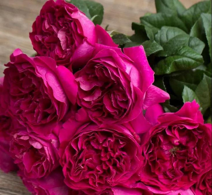 花店热销花,热卖鲜花花束