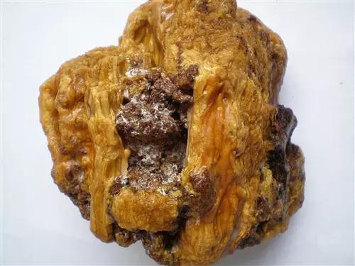 琥珀的形成过程简单介绍,原来琥珀是这么来的