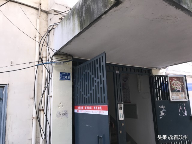 小区邻居养了三条狗违法吗,小区业主养了多条狗