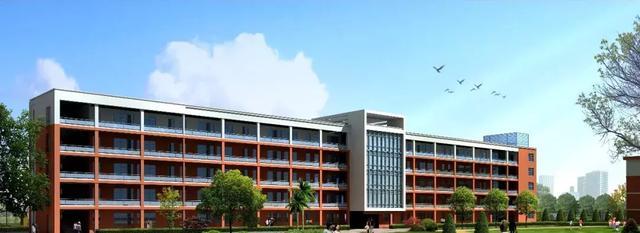 小升初孩子择校该当鸡头还是凤尾,石家庄小升初择校当鸡头还是凤尾