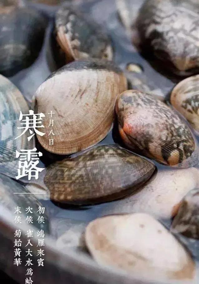 秋风萧瑟天气凉,寒露秋风落叶