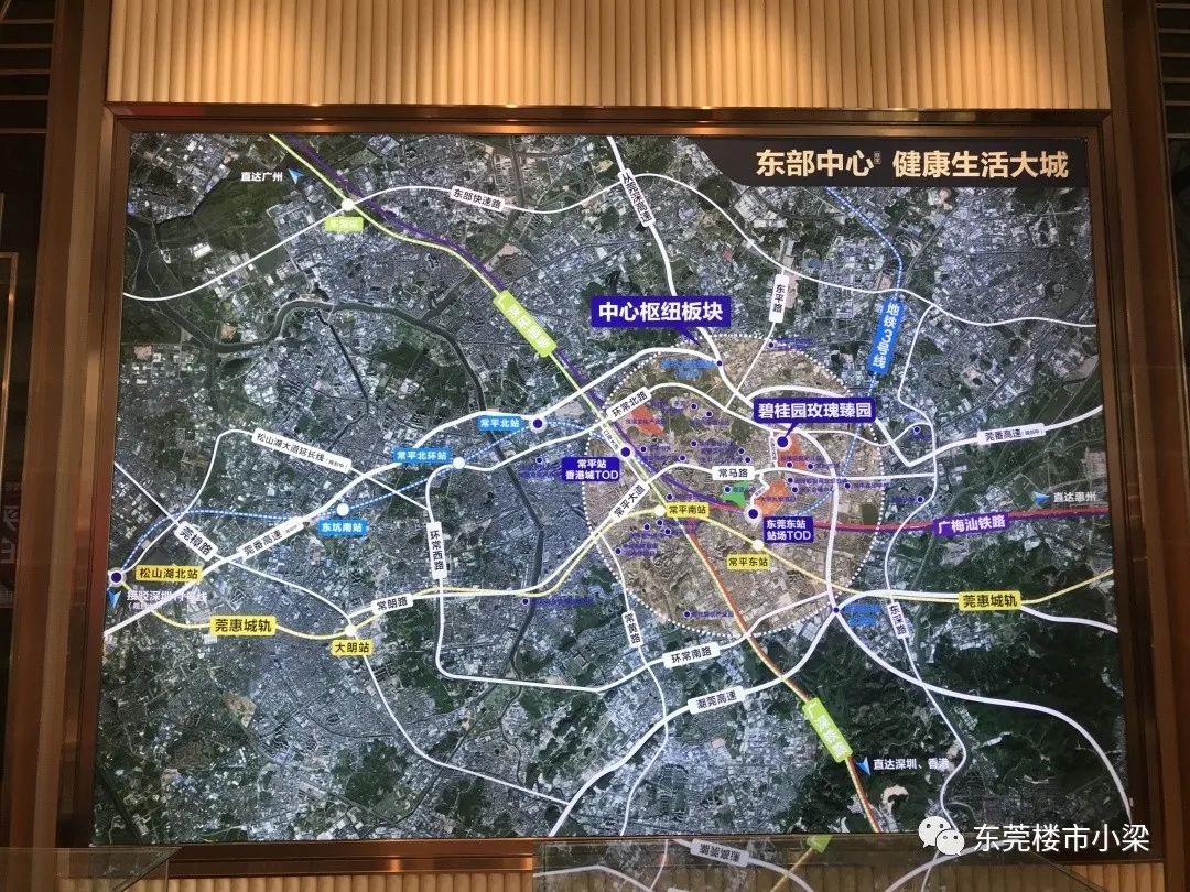 东莞市碧桂园玫瑰臻园,疫情后楼盘首开