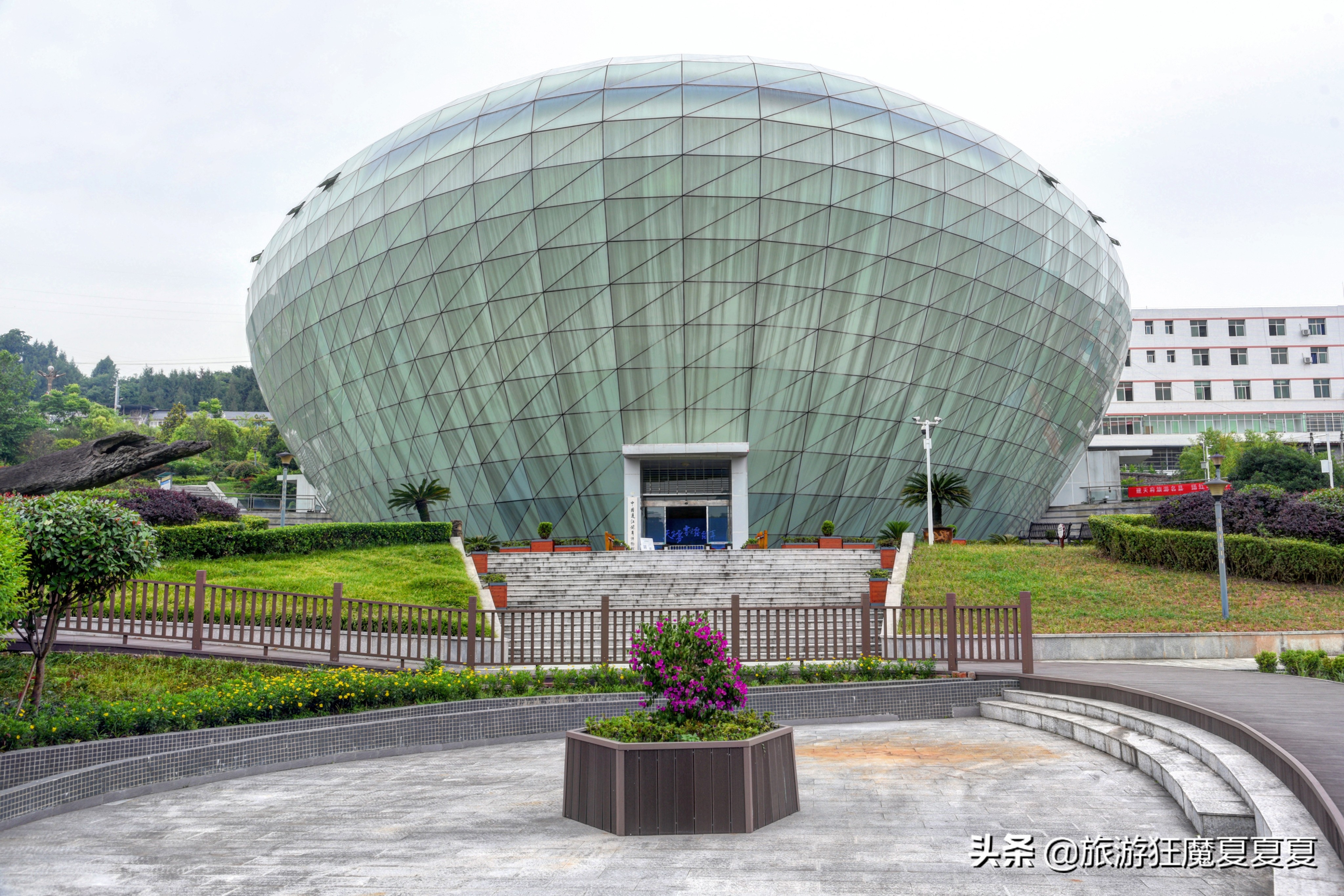 中国银耳多少钱,中国银耳之乡视频