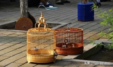 有什么沙雕到极致的群名称,最全的沙雕群名