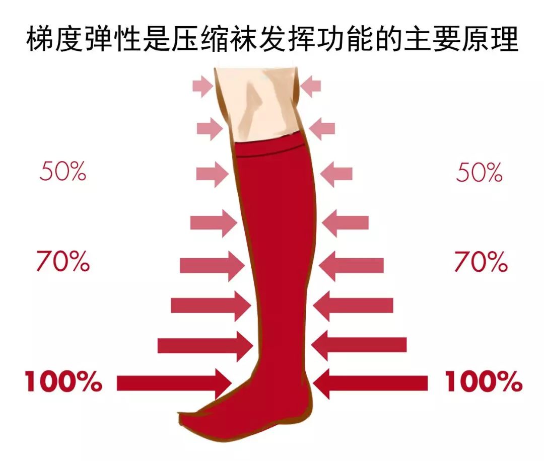 在跑步装备大卖的今天，著名压缩装备品牌SKINS竟然宣告破产