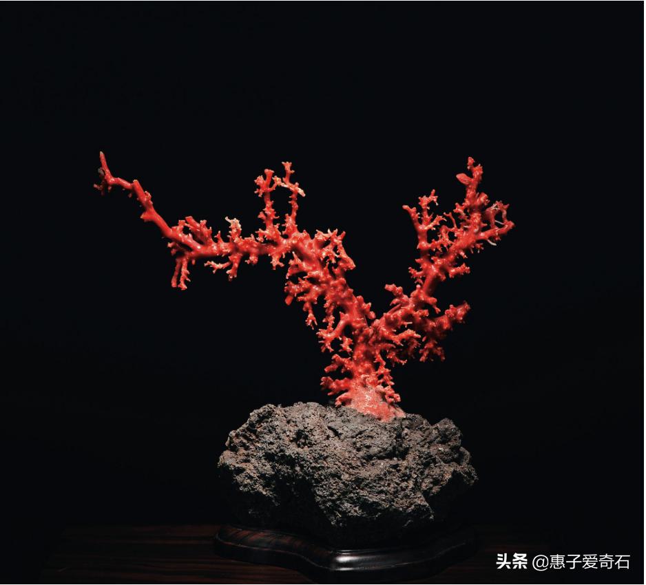 台湾顶级珍稀奇石,顶级玉石奇石