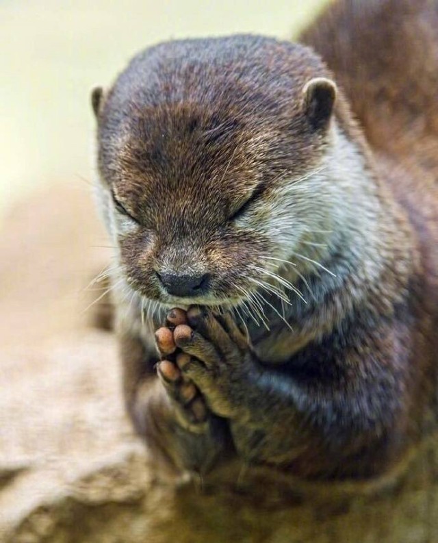 珍藏女儿红的正确方法,女儿红怎么选是正宗的