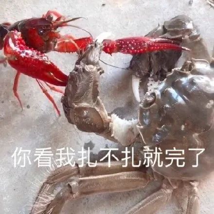 世上最恐怖的巨型螃蟹,世界上最恐怖的12种螃蟹是什么