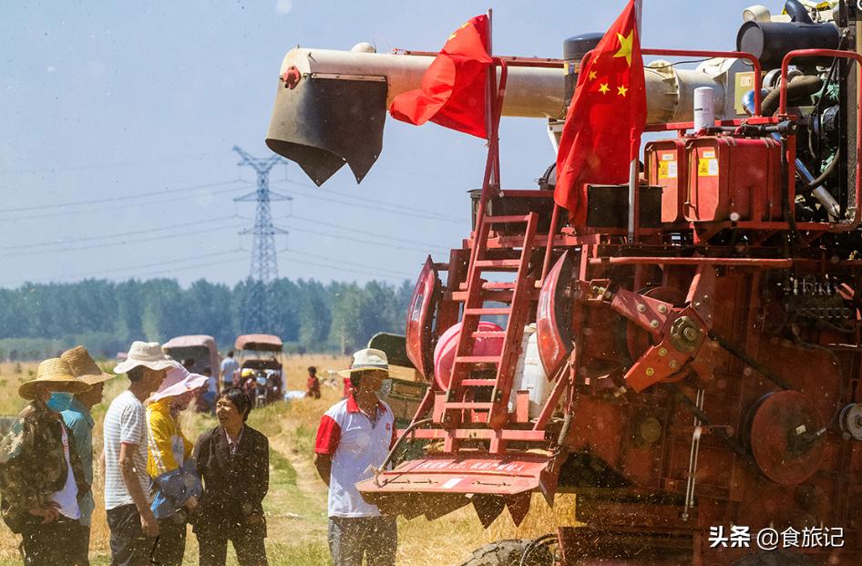 为什么中国人那么喜欢做饭,普通面粉做面包为什么像馒头