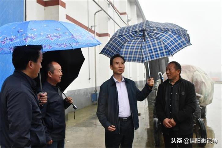 罗山粮食收购情况,秋粮收购工作的安全措施