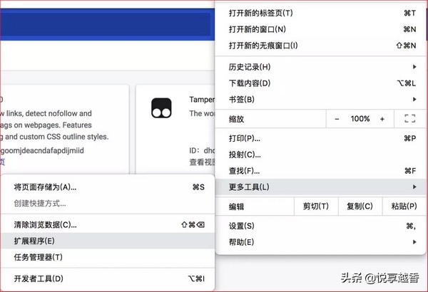 安卓谷歌浏览器插件设置在哪里,谷歌浏览器插件用什么语言开发
