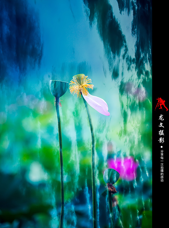 灏煎悍澶氶噸鏇濆厜鏁欑▼,浣宠兘澶氶噸鏇濆厜鏁欑▼