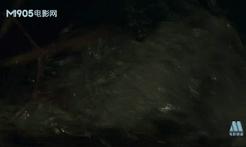 三趟快车|不为人知的“赶车人”(二)