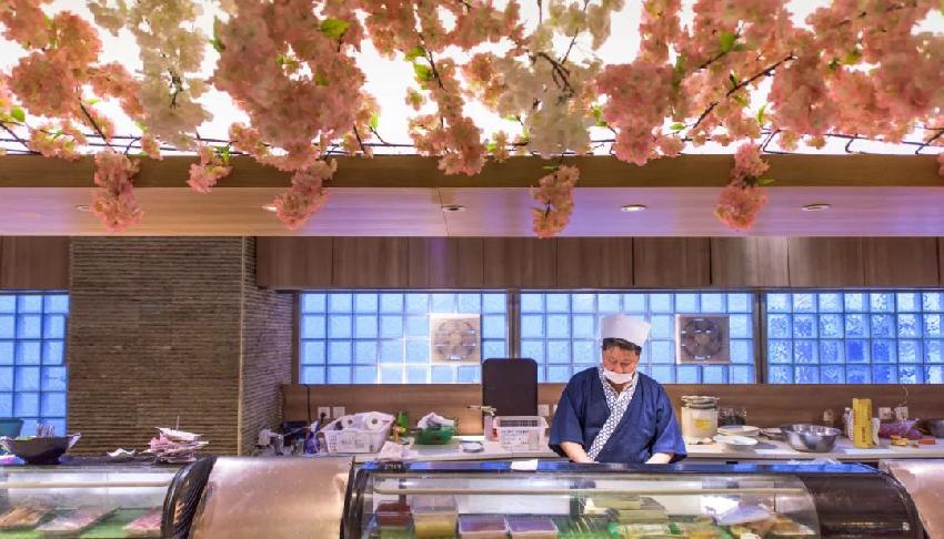 被唱衰怎么反击,被唱衰该怎么度过