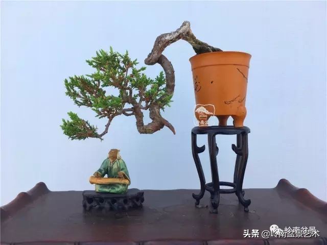 鎺㈡灊妞嶇墿,鎺㈡灊