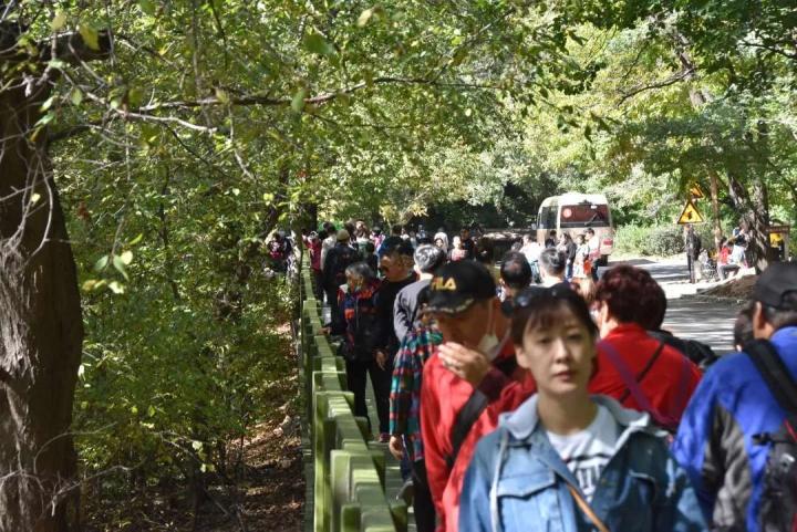 鞍山旅游综合收益 (鞍山各区旅游收入排名)