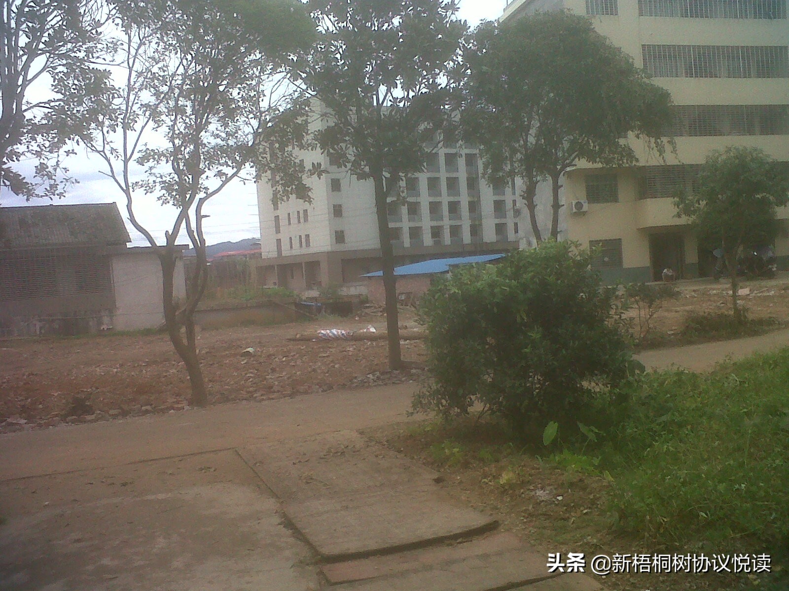 紫气东来电力老平屋夷平，看看穷人富起来