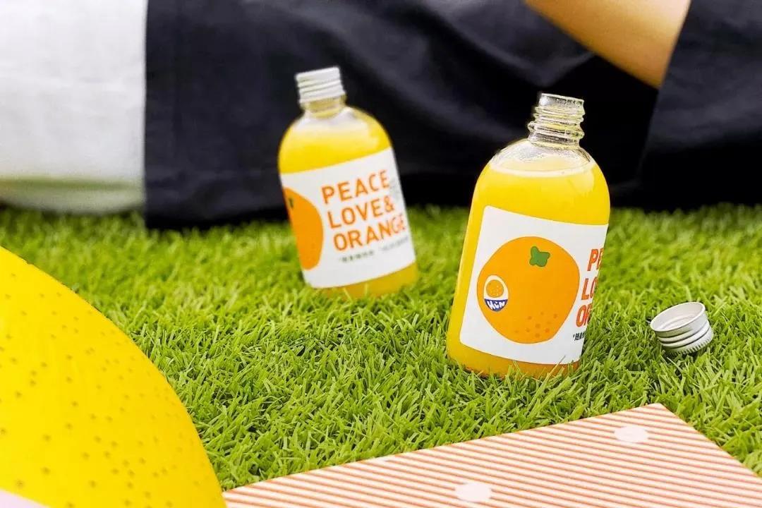 爱宠大机密作战计划,爱宠大作战作战计划