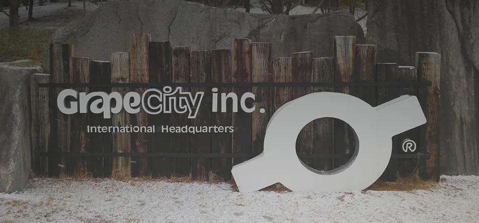 数据猿专访葡萄城总经理倪爱军：低代码，未来可期