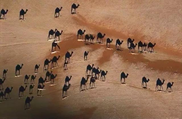 拍摄时如何避免阴影,拍摄时如何控制高光