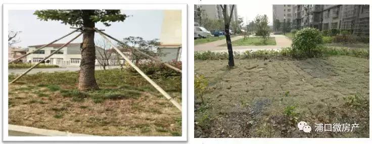 引进物业公司的收益,引入物业