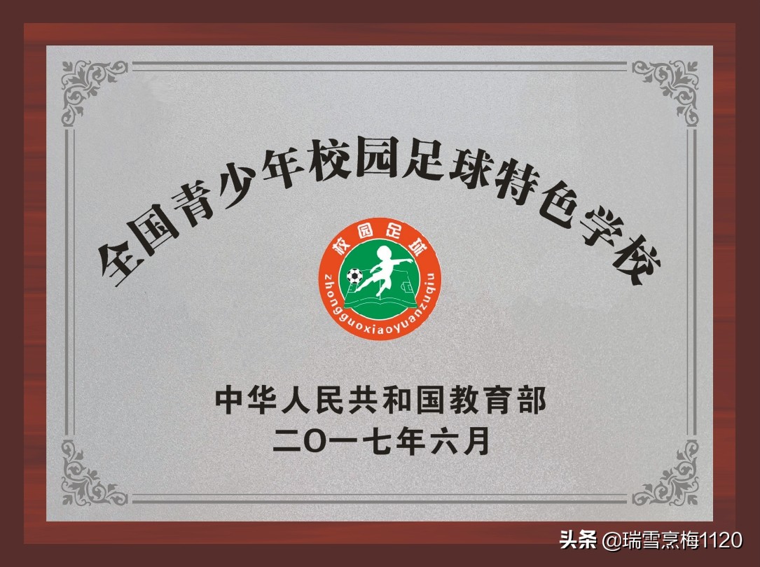 新城子街第一小学足球比赛,新城区足球联赛小学组冠军