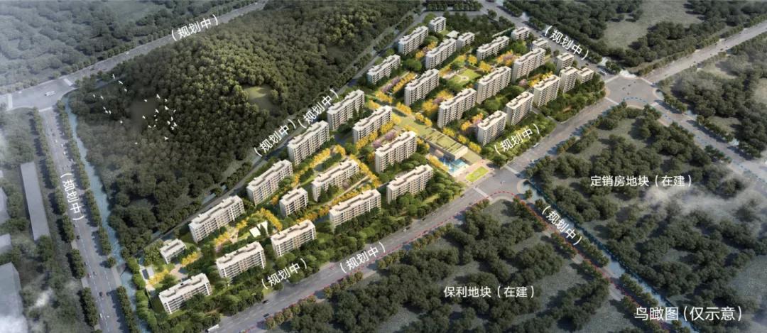 遁入半山，抒写现代桃花源记