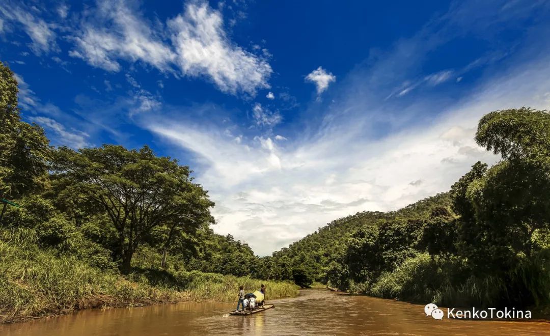 鏈堣禌鍥為【,鏈堣禌閫夋墜绮惧僵鍥為【