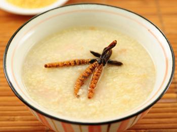 对于野生动物你有哪些了解,冬虫夏草对于女人的好处和坏处